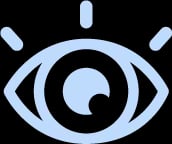 Vision icon