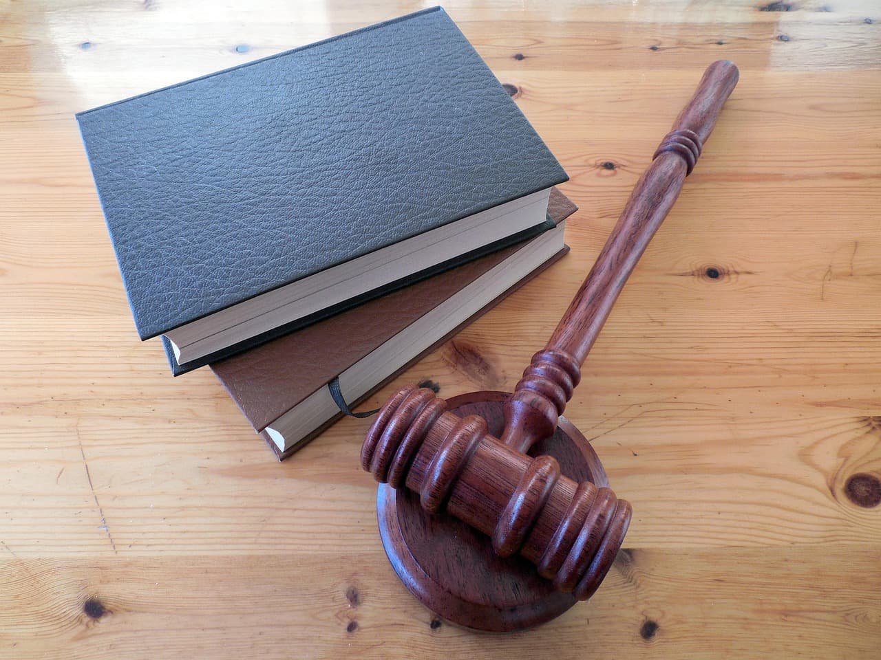 Top Law Programs That Build Legal Expertise and Career Excellence