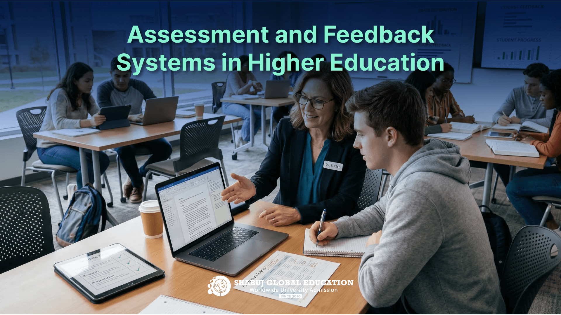 Assessment and Feedback Systems in Higher Education